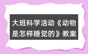 大班科學(xué)活動(dòng)《動(dòng)物是怎樣睡覺的》教案反思