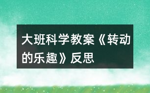 大班科學教案《轉(zhuǎn)動的樂趣》反思