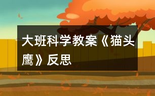 大班科學教案《貓頭鷹》反思