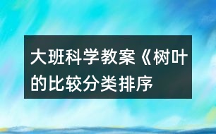 大班科學(xué)教案《樹葉的比較、分類、排序》反思