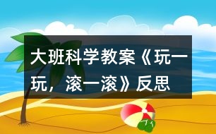 大班科學教案《玩一玩，滾一滾》反思
