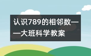 認(rèn)識7、8、9的相鄰數(shù)――大班科學(xué)教案
