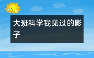 大班科學(xué)：我見(jiàn)過(guò)的影子