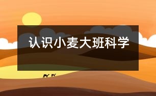 認(rèn)識小麥（大班科學(xué)）