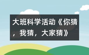 大班科學(xué)活動《你猜，我猜，大家猜》