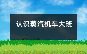 認(rèn)識(shí)蒸汽機(jī)車(chē)（大班）