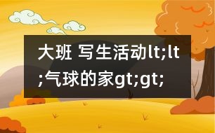 大班 寫(xiě)生活動(dòng)lt;lt;氣球的家gt;gt;