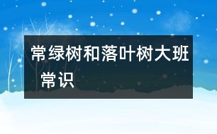 常綠樹(shù)和落葉樹(shù)（大班  常識(shí)）