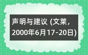 聲明與建議 (文萊，2000年6月17-20日)