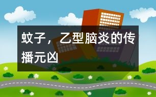 蚊子，乙型腦炎的傳播元兇