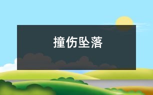 撞傷、墜落
