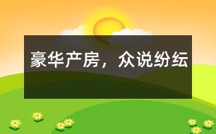 豪華產(chǎn)房，眾說紛紜