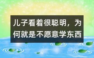 兒子看著很聰明，為何就是不愿意學(xué)東西