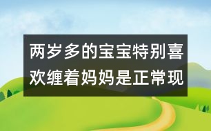 兩歲多的寶寶特別喜歡纏著媽媽是正?，F(xiàn)象