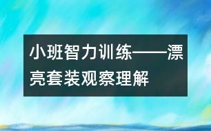 小班智力訓(xùn)練――漂亮套裝（觀察、理解、判斷、語言）