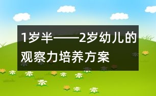 1歲半――2歲幼兒的觀(guān)察力培養(yǎng)方案