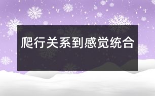 爬行關系到感覺統合