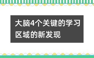 大腦4個關鍵的學習區(qū)域的新發(fā)現