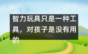 智力玩具只是一種工具，對孩子是沒有用的――王文革回答