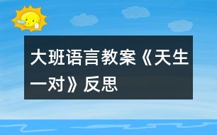大班語(yǔ)言教案《天生一對(duì)》反思