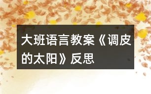 大班語(yǔ)言教案《調(diào)皮的太陽(yáng)》反思