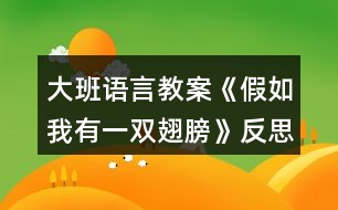 大班語(yǔ)言教案《假如我有一雙翅膀》反思