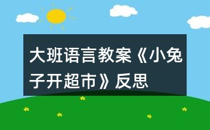 大班語(yǔ)言教案《小兔子開超市》反思