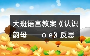 大班語(yǔ)言教案《認(rèn)識(shí)韻母――o e》反思