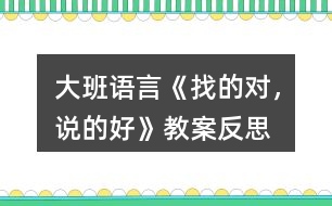 大班語言《找的對，說的好》教案反思