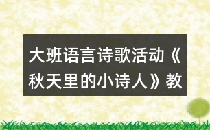 大班語言詩歌活動(dòng)《秋天里的小詩人》教學(xué)設(shè)計(jì)反思