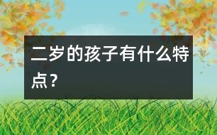 二歲的孩子有什么特點？