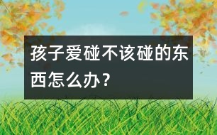 孩子愛碰不該碰的東西怎么辦？