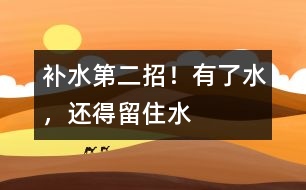 補(bǔ)水第二招！有了水，還得留住水