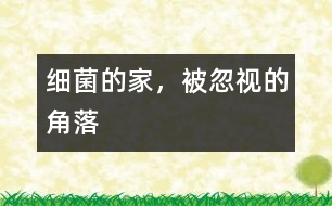 細菌的家，被忽視的角落