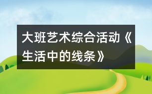 大班藝術(shù)綜合活動(dòng)《生活中的線(xiàn)條》