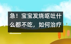 急！寶寶發(fā)燒嘔吐什么都不吃，如何治療――康宏回答