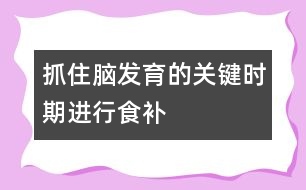 抓住腦發(fā)育的關(guān)鍵時期進(jìn)行食補(bǔ)
