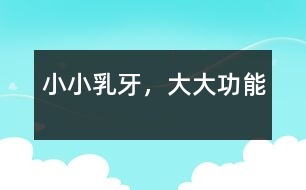 小小乳牙，大大功能