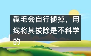 毳毛會自行褪掉，用線將其拔除是不科學的
