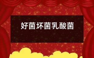 好菌、壞菌、乳酸菌