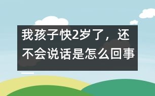 我孩子快2歲了，還不會(huì)說話是怎么回事――林茅回答