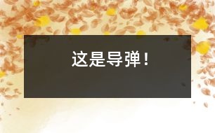 這是導(dǎo)彈！