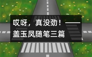 “哎呀，真沒勁！”――蓋玉鳳隨筆三篇