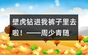 “壁虎”鉆進我褲子里去啦！――周少青隨筆兩篇