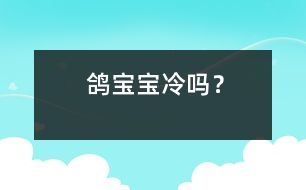 鴿寶寶冷嗎？