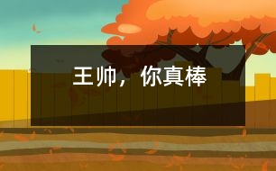 王帥，你真棒
