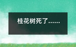 桂花樹(shù)死了……