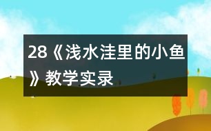 28《淺水洼里的小魚》教學實錄