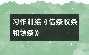 （習作訓練）《借條、收條和領(lǐng)條》