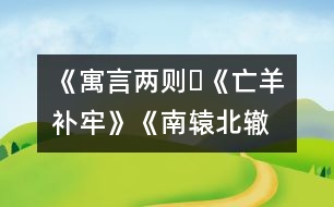 《寓言兩則?《亡羊補(bǔ)牢》、《南轅北轍》》教學(xué)設(shè)計(jì),教案